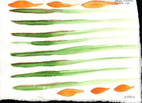 Seaweed and Goldfish