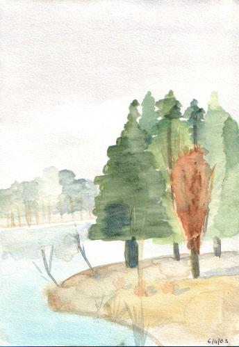 Trees at Center Parcs