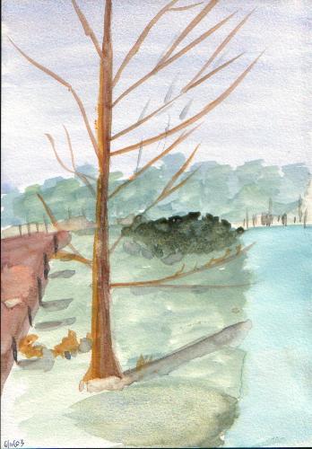 More Trees at Center Parcs
