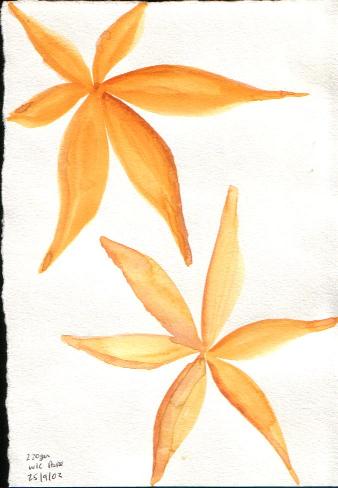 Petals